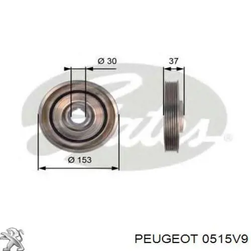 Polia de cambota Peugeot/Citroen 0515V9 preço, a partir de 51,72 USD