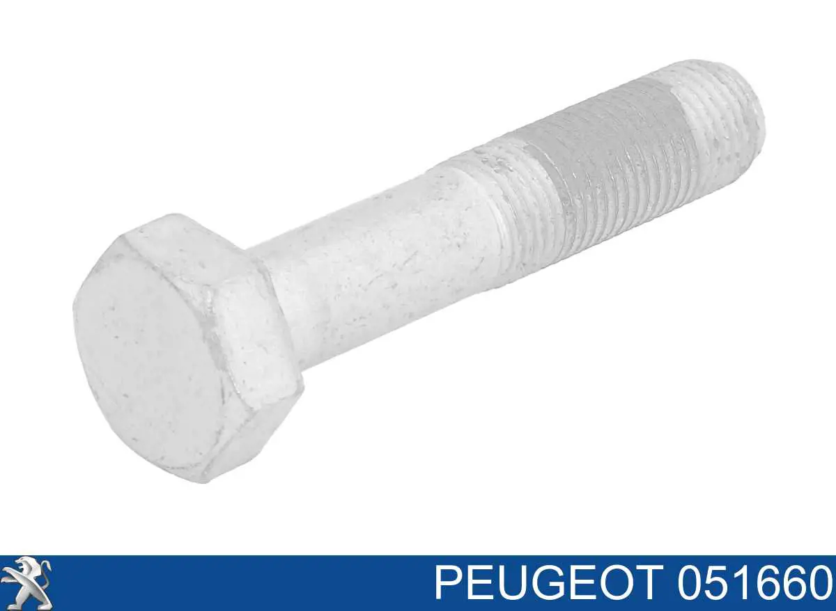 051660 Peugeot/Citroen Parafuso da polia de cambota