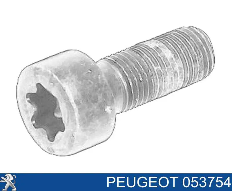 053754 Peugeot/Citroen Parafuso de fixação de volante
