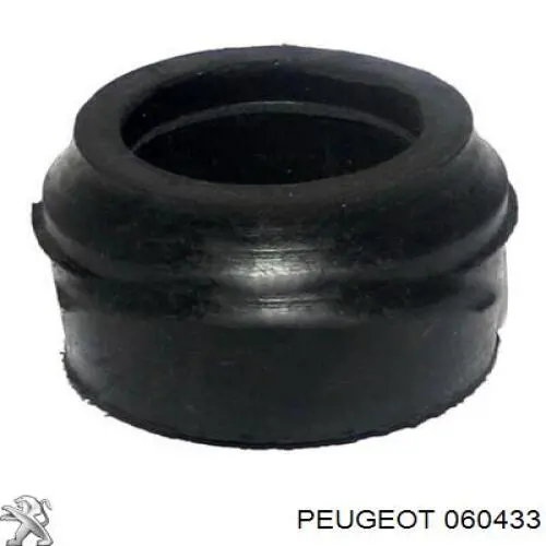 060433 Peugeot/Citroen Bucha de biela