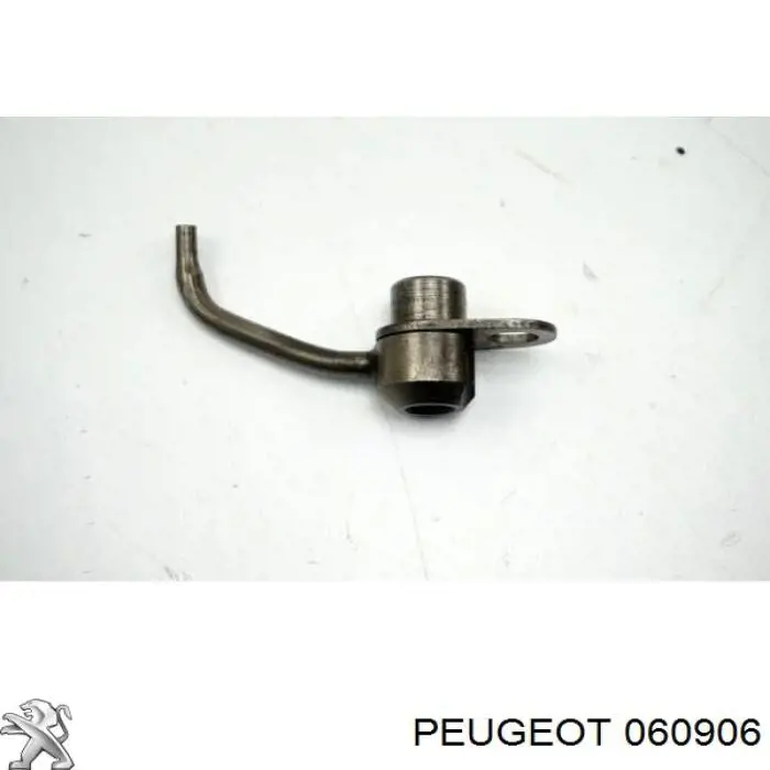 Injetor de óleo Peugeot/Citroen 060906 preço, a partir de 29,51 USD