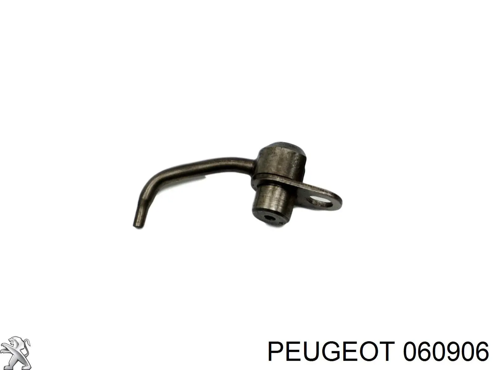 060906 Peugeot/Citroen Injetor de óleo