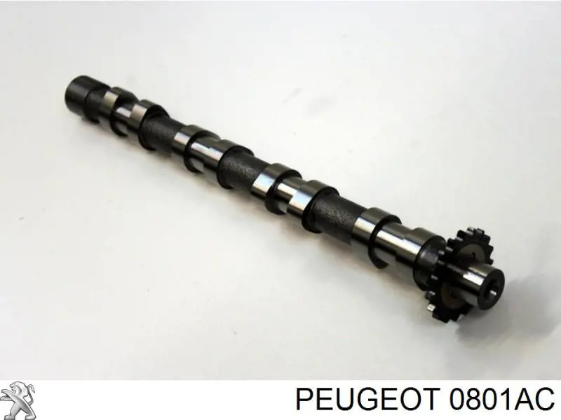 Árvore distribuidora de motor de admissão Peugeot/Citroen 0801AC preço, a partir de 124,29 USD