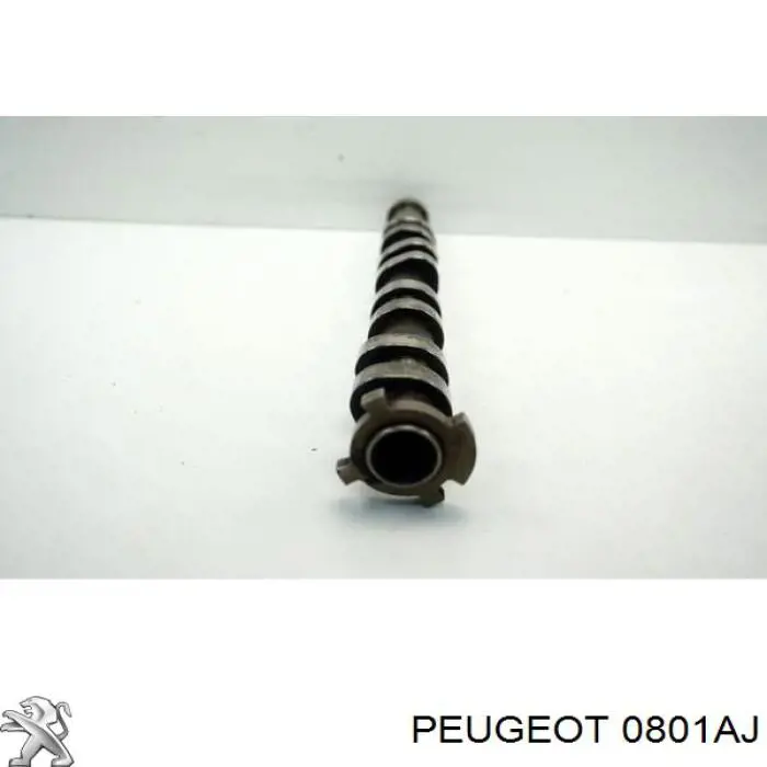 CM052284 Freccia Árvore distribuidora de motor de admissão