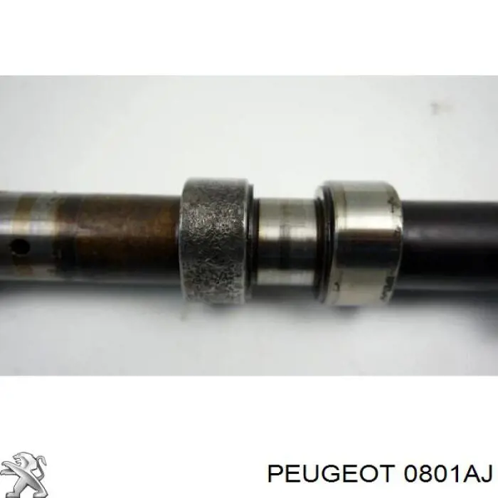 Árvore distribuidora de motor de admissão Freccia CM052284 preço, a partir de 158,84 USD