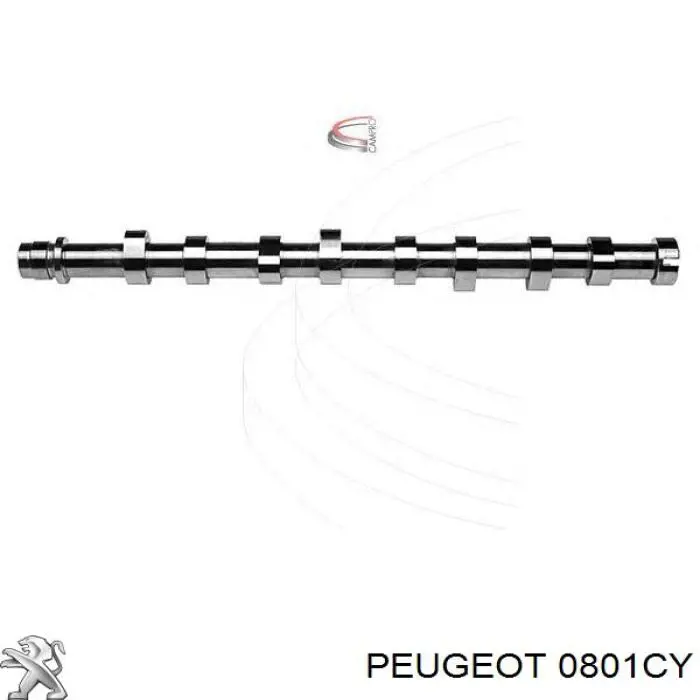 0801CY Peugeot/Citroen Árvore distribuidora de motor