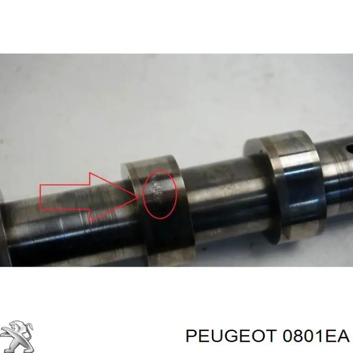 Árvore distribuidora de motor de admissão Peugeot/Citroen 0801EA preço, a partir de 175,93 USD