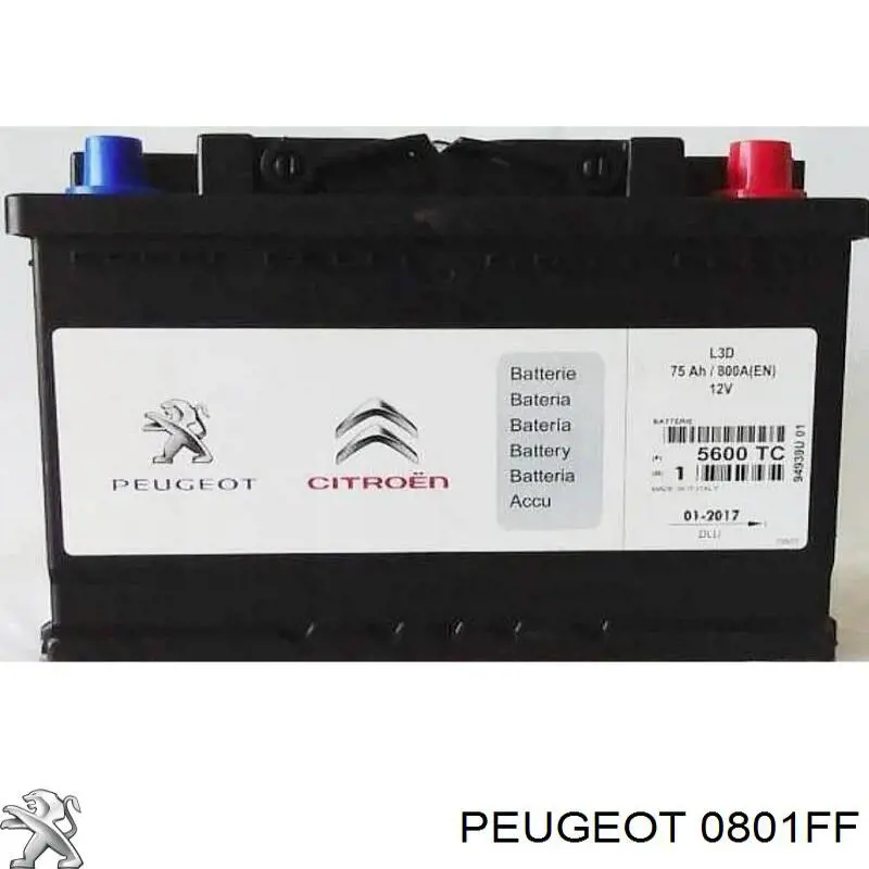 Árvore distribuidora de motor de admissão Peugeot/Citroen 00000801FF preço, a partir de 208,09 USD