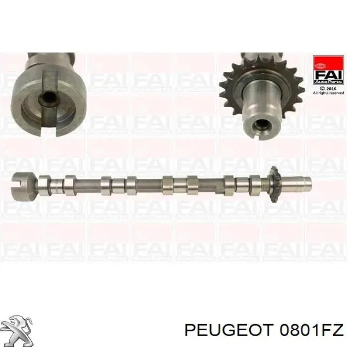 Árvore distribuidora de motor de escape Peugeot/Citroen 0801FZ preço, a partir de 158,87 USD
