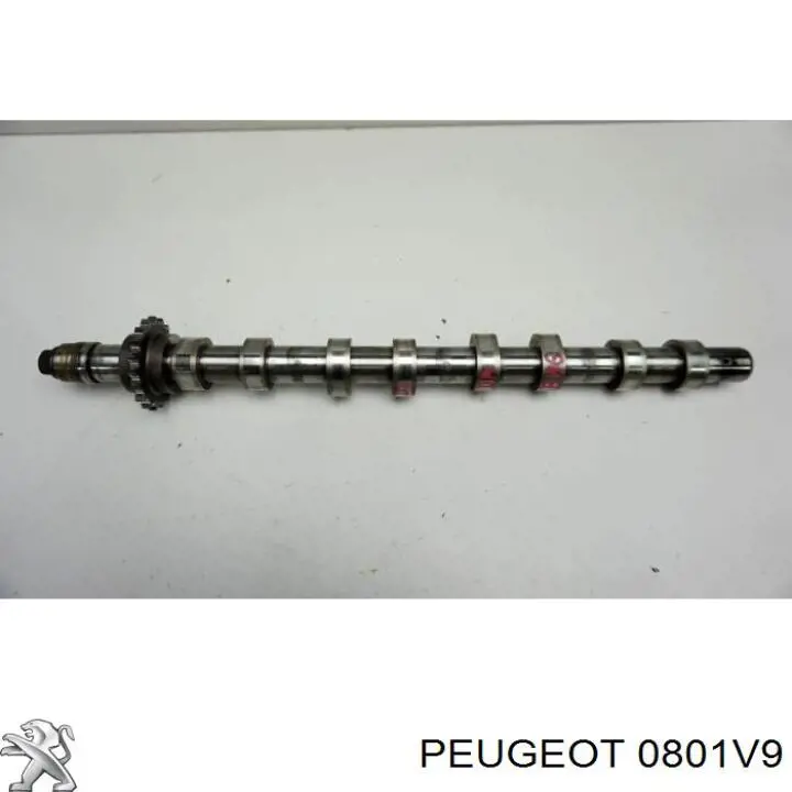 Árvore distribuidora de motor de admissão Peugeot/Citroen 0801V9 preço, a partir de 178,34 USD