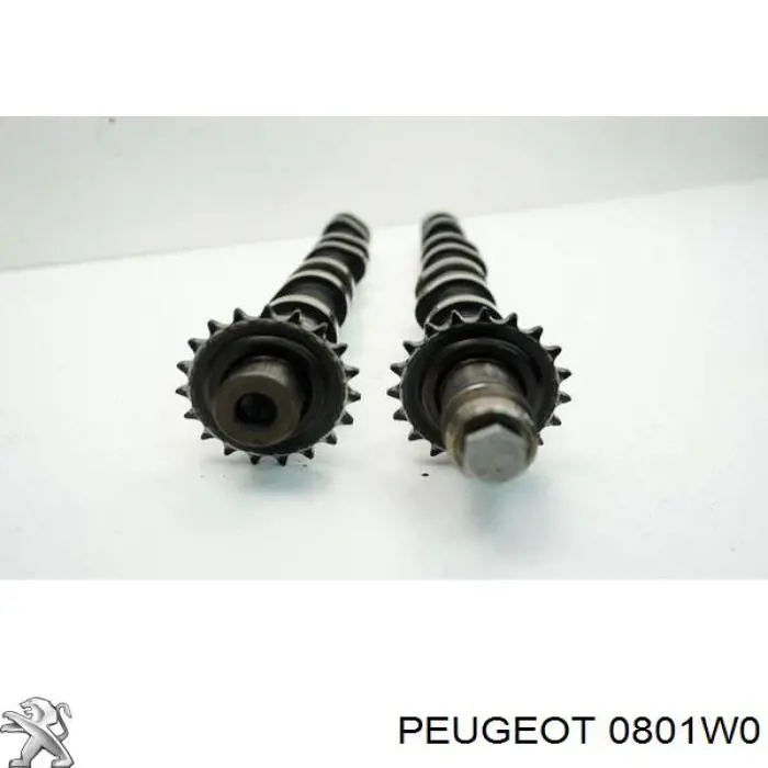 Árvore distribuidora de motor de escape Peugeot/Citroen 0801W0 preço, a partir de 197,77 USD