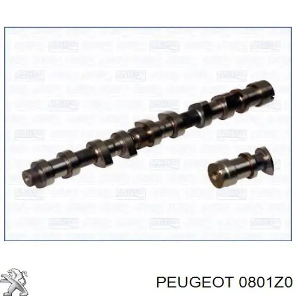 Árvore distribuidora de motor de escape Ajusa 93123500 preço, a partir de 170,91 USD