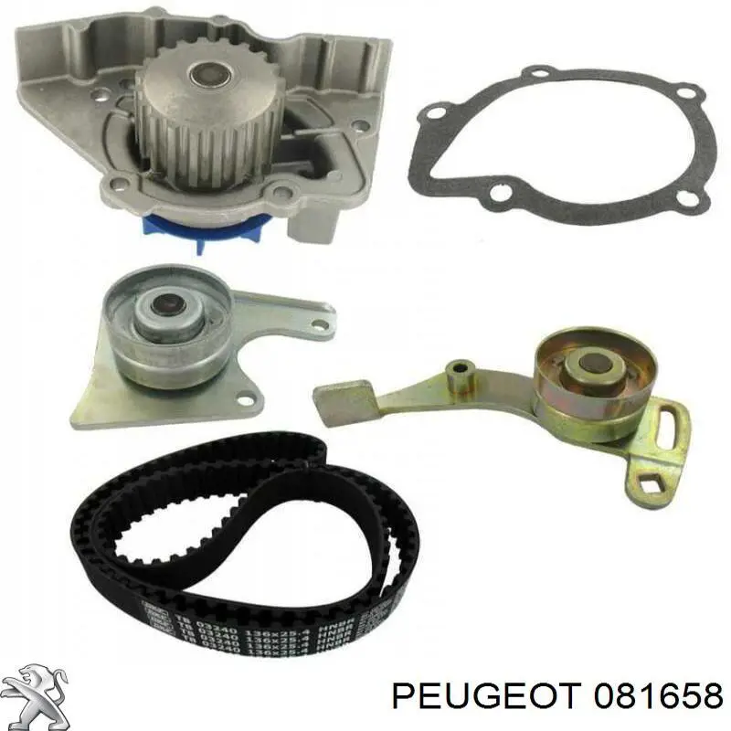 Correia do mecanismo de distribuição de gás, kit Peugeot/Citroen 081658 preço, a partir de 75,34 USD
