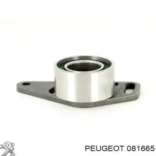Compre CT864 Continental/Siemens Correia do mecanismo de distribuição de gás