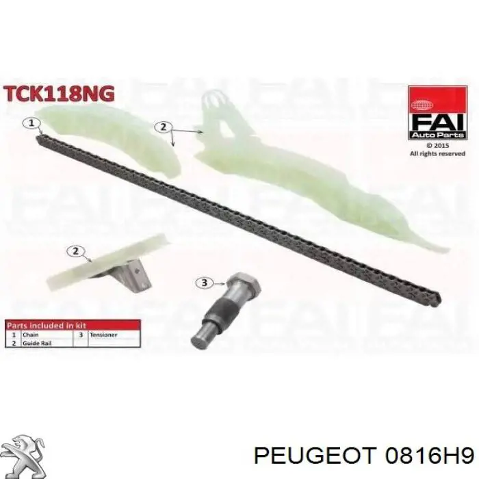 0816H9 Peugeot/Citroen Cadeia do mecanismo de distribuição de gás, kit