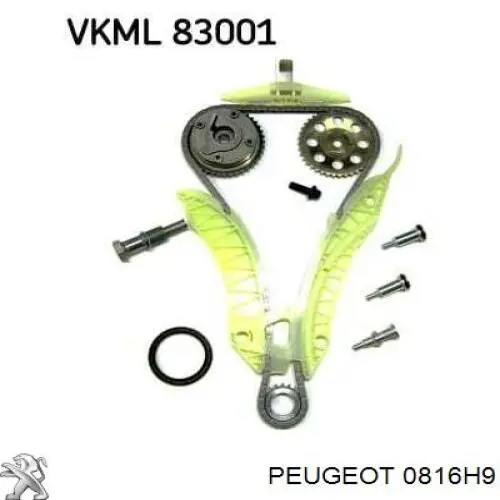Cadeia do mecanismo de distribuição de gás, kit Peugeot/Citroen 0816H9 preço, a partir de 110,83 USD