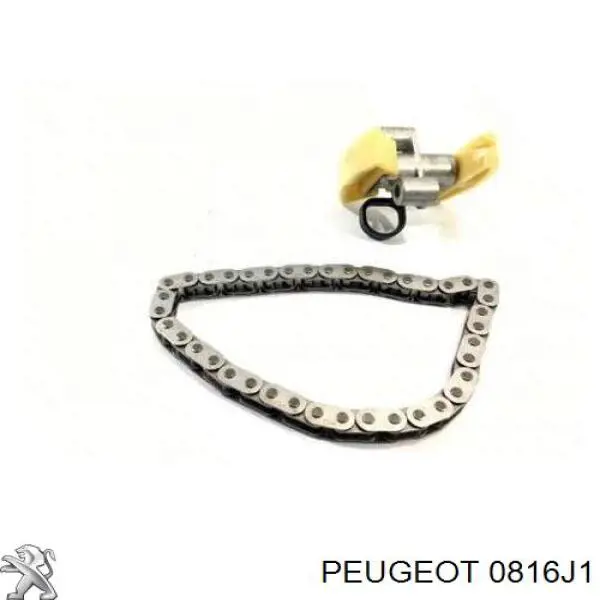 0816J1 Peugeot/Citroen Cadeia superior do mecanismo de distribuição de gás, kit