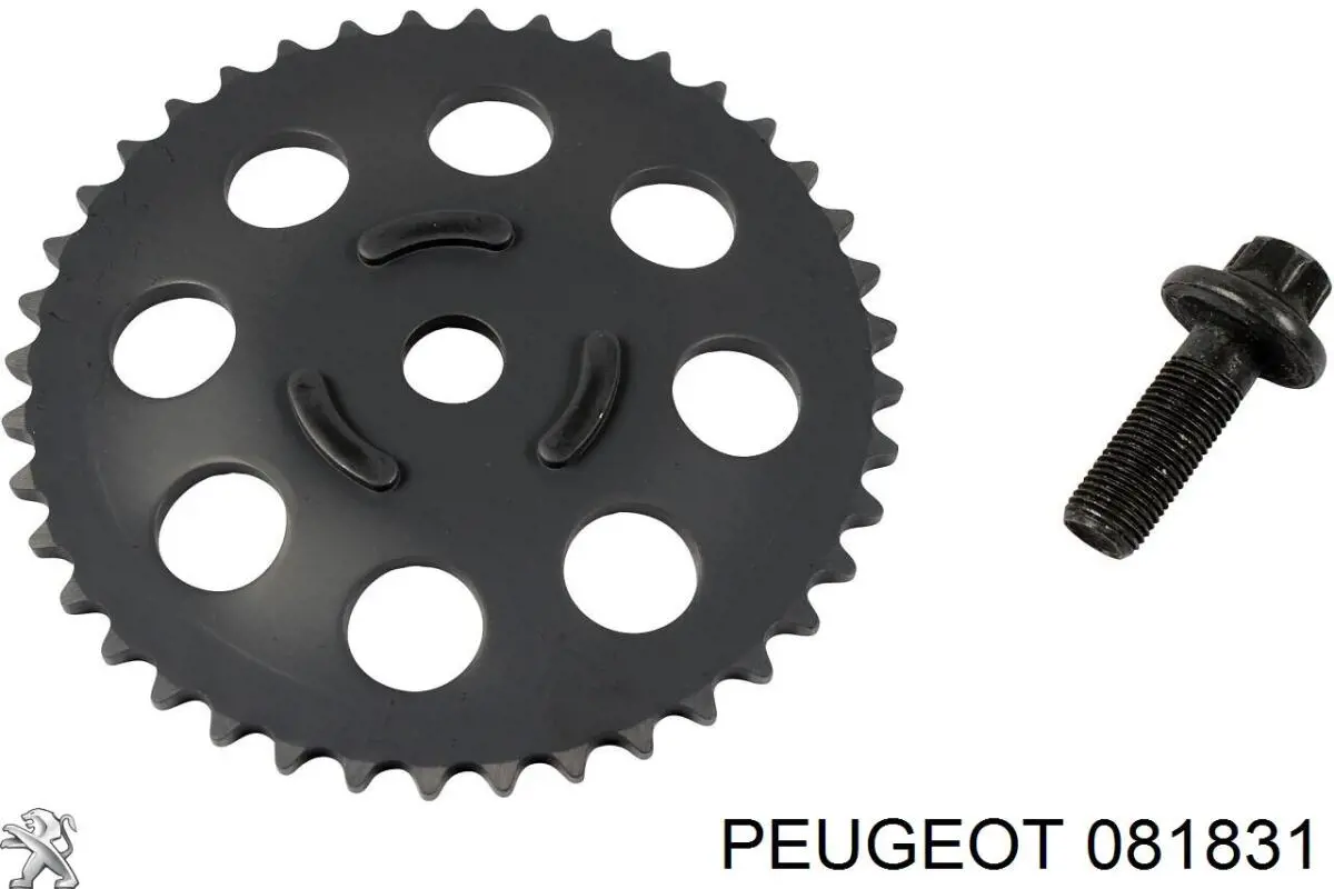 Compre 81831 Peugeot/Citroen Amortecedor de cadeia do mecanismo de distribuição de gás