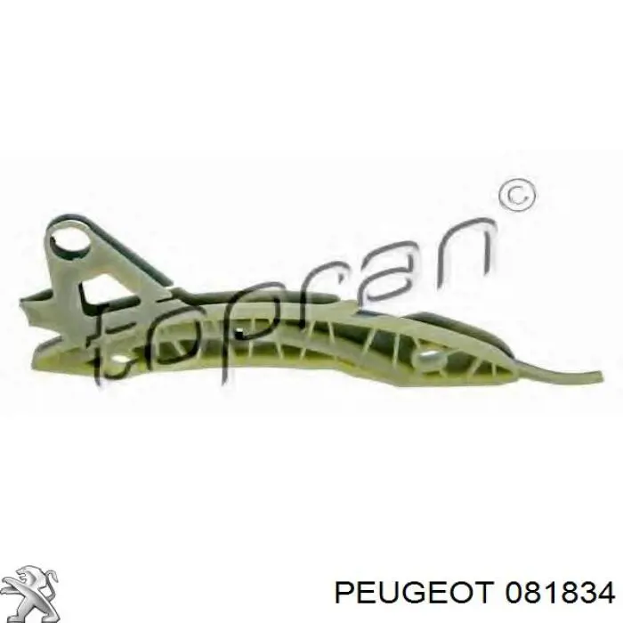 081834 Peugeot/Citroen Amortecedor de cadeia do mecanismo de distribuição de gás, esquerdo
