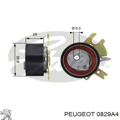 0829A4 Peugeot/Citroen Rolo de reguladora de tensão da correia do mecanismo de distribuição de gás
