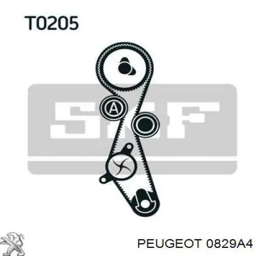 Rolo de reguladora de tensão da correia do mecanismo de distribuição de gás Peugeot/Citroen 0829A4 preço, a partir de 15,22 USD