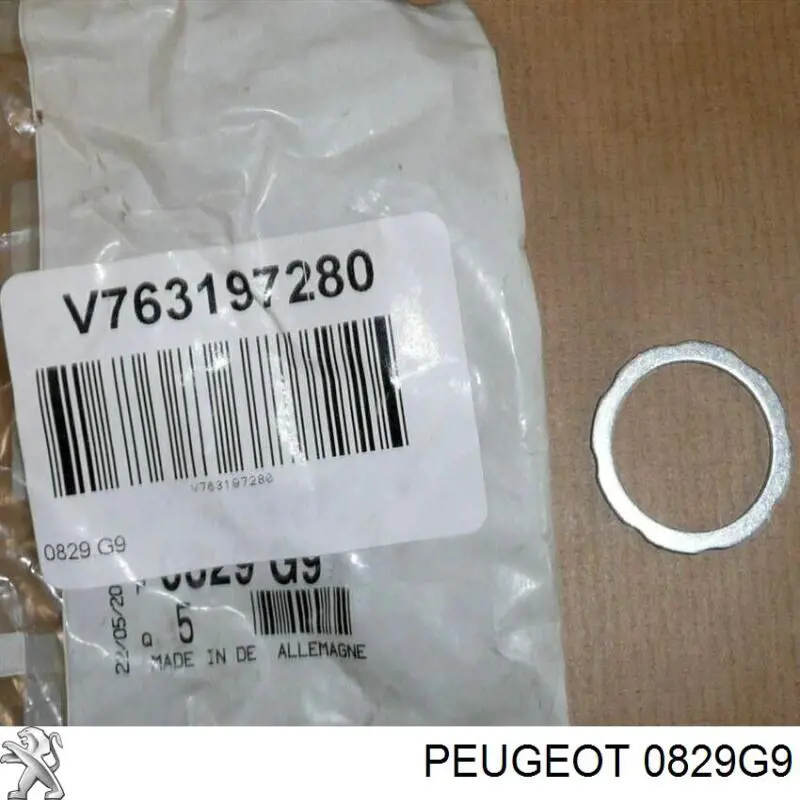Compre 0829G9 Peugeot/Citroen Vedante de reguladora de tensão da cadeia do mecanismo de distribuição de gás