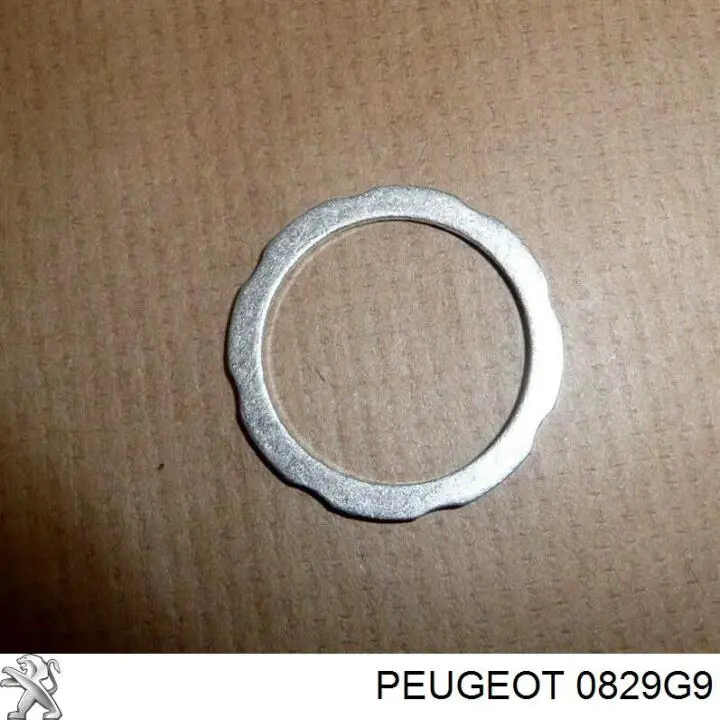 Compre 9824831680 Peugeot/Citroen Vedante de reguladora de tensão da cadeia do mecanismo de distribuição de gás
