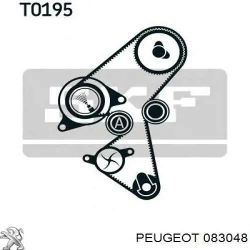 083048 Peugeot/Citroen Rolo parasita da correia do mecanismo de distribuição de gás