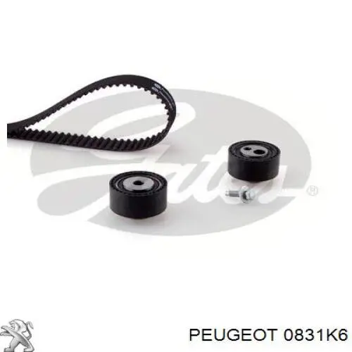 0831K6 Peugeot/Citroen 