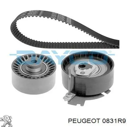 0831R9 Peugeot/Citroen Correia do mecanismo de distribuição de gás, kit