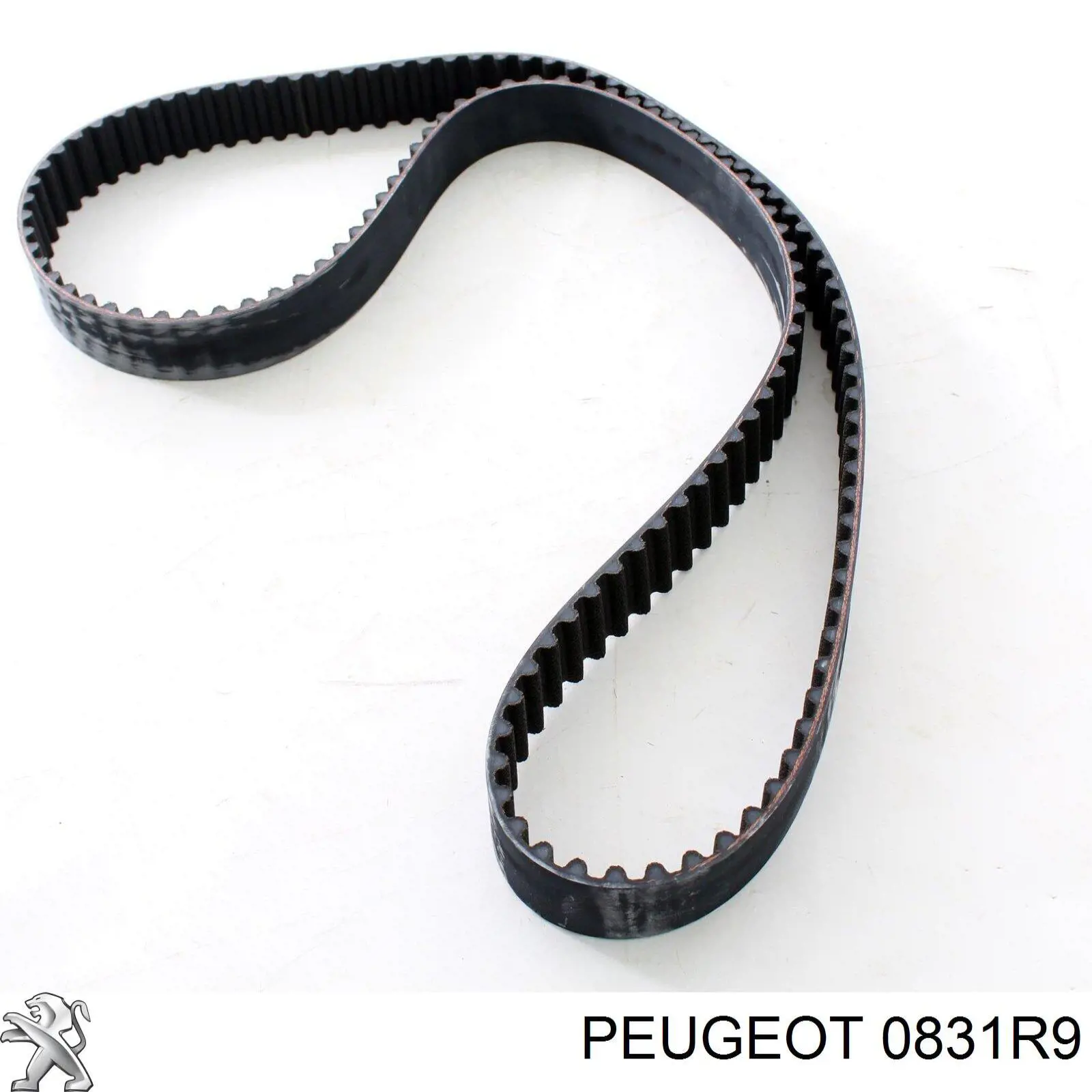Compre 0831R9 Peugeot/Citroen Correia do mecanismo de distribuição de gás, kit