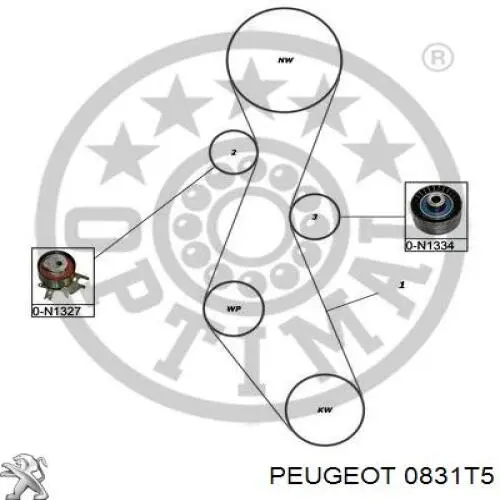 0831T5 Peugeot/Citroen Correia do mecanismo de distribuição de gás, kit