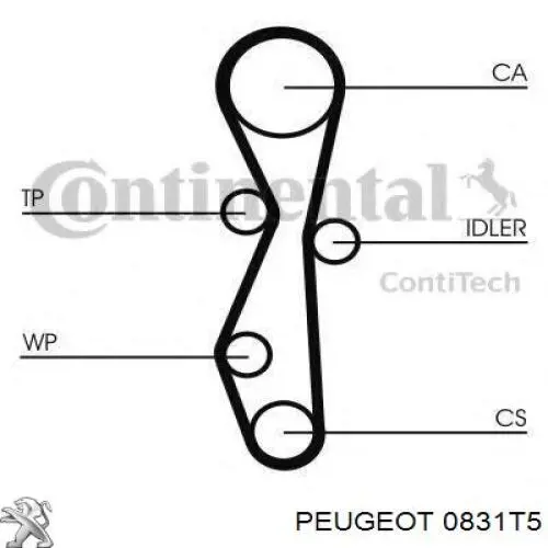 Compre 0831T5 Peugeot/Citroen Correia do mecanismo de distribuição de gás, kit