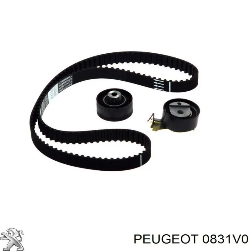 0831V0 Peugeot/Citroen Correia do mecanismo de distribuição de gás, kit