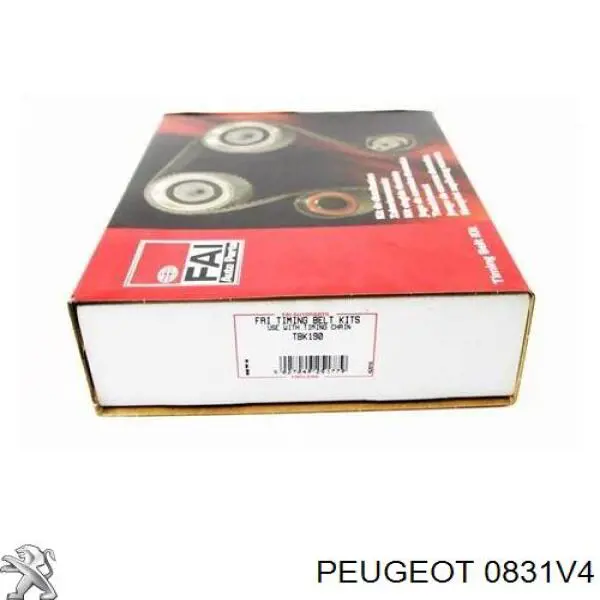 0831V4 Peugeot/Citroen Correia do mecanismo de distribuição de gás, kit