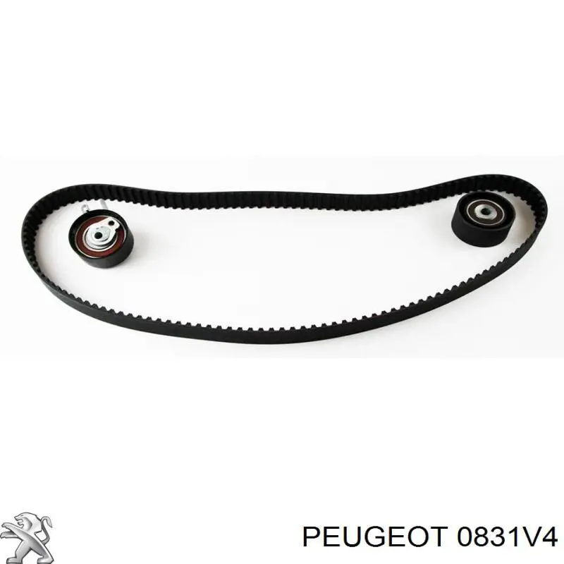Compre 0831V4 Peugeot/Citroen Correia do mecanismo de distribuição de gás, kit