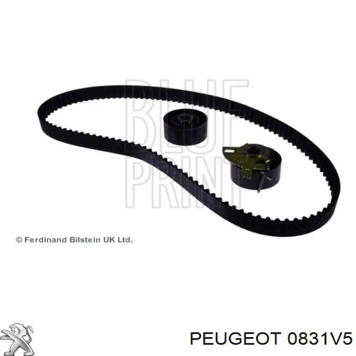 0831V5 Peugeot/Citroen Correia do mecanismo de distribuição de gás, kit
