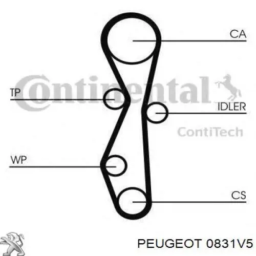 Correia do mecanismo de distribuição de gás, kit Peugeot/Citroen 0831V5 preço, a partir de 116,83 USD