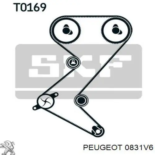 Compre 0831V6 Peugeot/Citroen Correia do mecanismo de distribuição de gás, kit