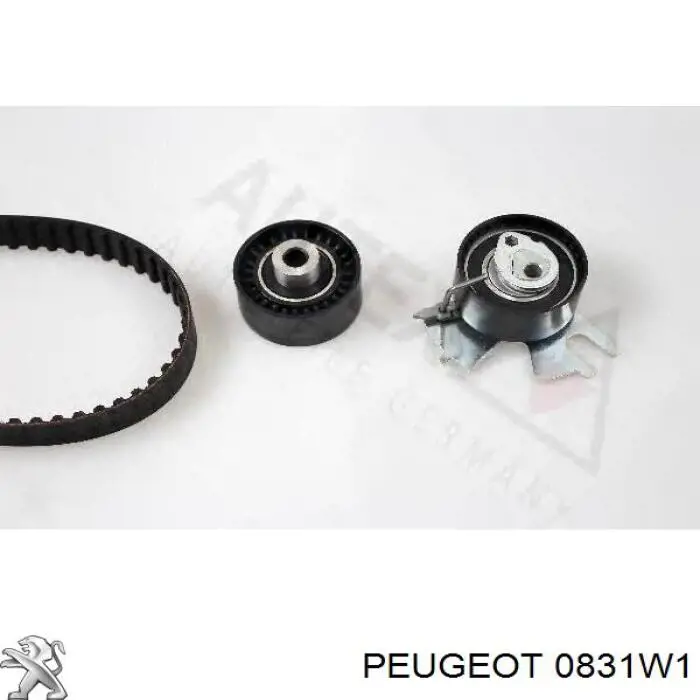 0831W1 Peugeot/Citroen Correia do mecanismo de distribuição de gás, kit