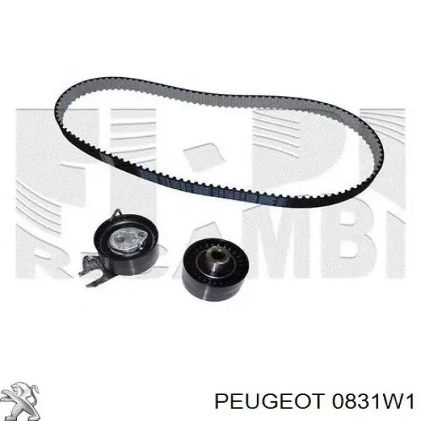 Correia do mecanismo de distribuição de gás, kit Peugeot/Citroen 0831W1 preço, a partir de 82,25 USD