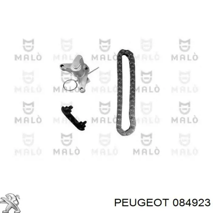084923 Peugeot/Citroen Cadeia do mecanismo de distribuição de gás, kit