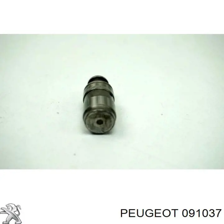 Compre 091037 Peugeot/Citroen 