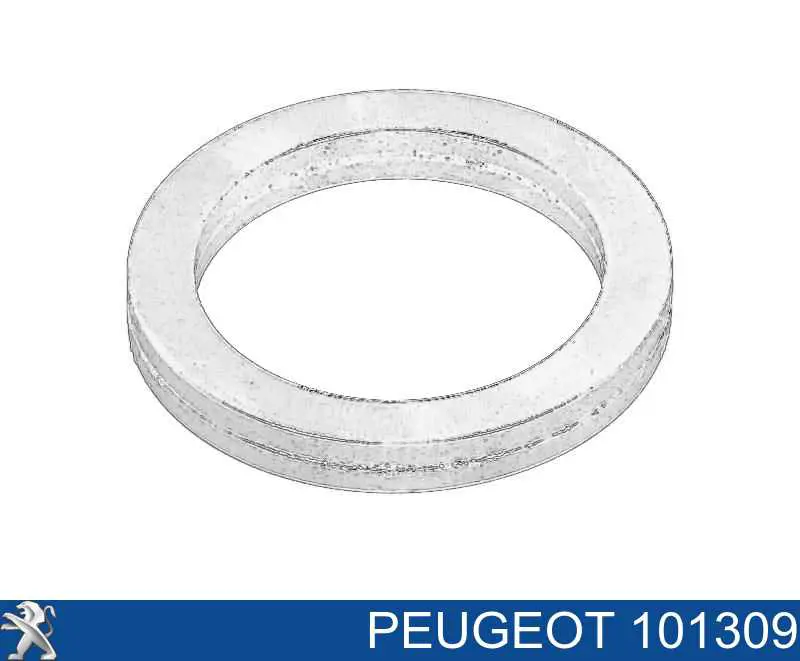 101309 Peugeot/Citroen Vedante de bomba de óleo