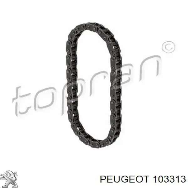 Compre 103313 Peugeot/Citroen Cadeia de bomba de óleo