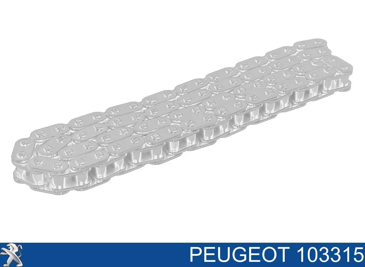 Compre 103315 Peugeot/Citroen Cadeia de bomba de óleo