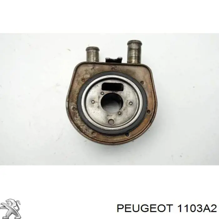 1103A2 Peugeot/Citroen Radiador de óleo (frigorífico), debaixo de filtro