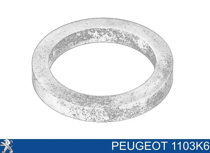 1103K6 Peugeot/Citroen Vedante de adaptador do filtro de óleo