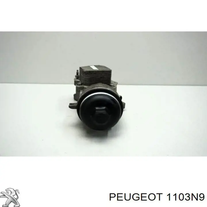 Compre 1103N9 Peugeot/Citroen Caixa do filtro de óleo