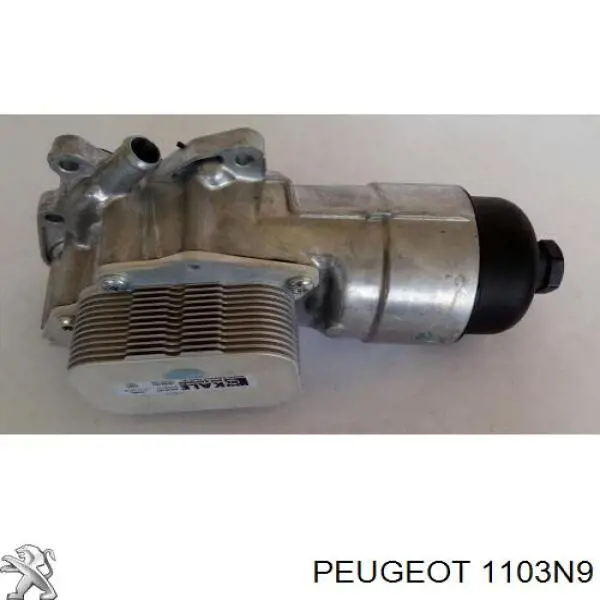1103N9 Peugeot/Citroen Caixa do filtro de óleo